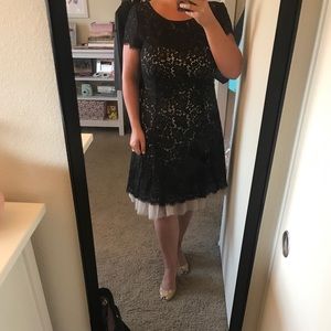 Eliza J Black and Tan lace fit and flare